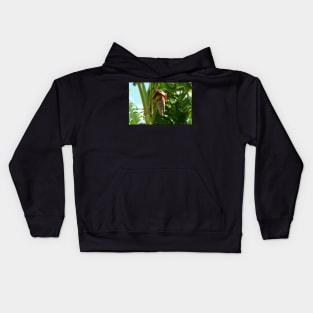 Banana Tree Flower Kids Hoodie